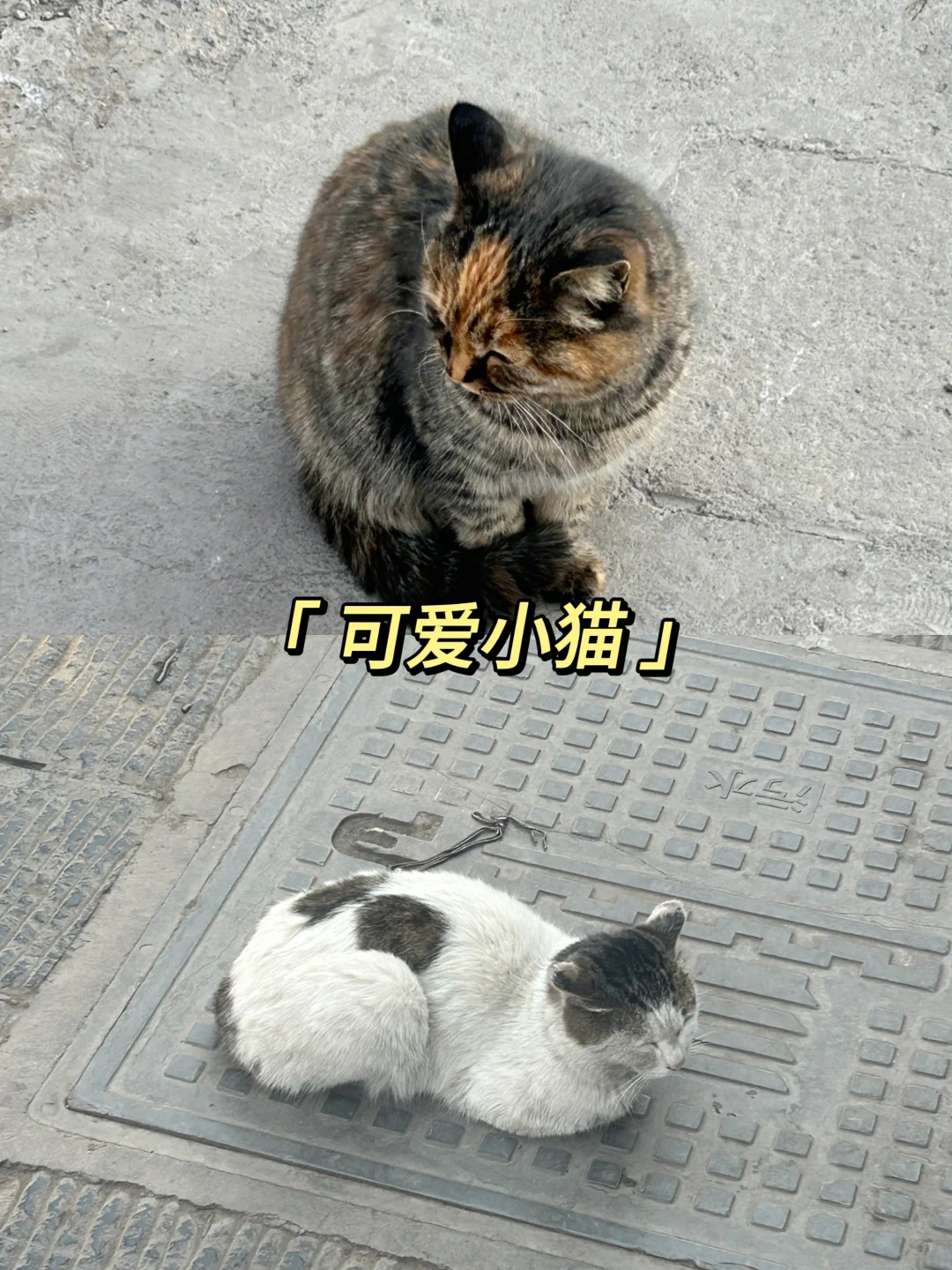 3.21平遥已回，真诚提醒清明要来平遥的...