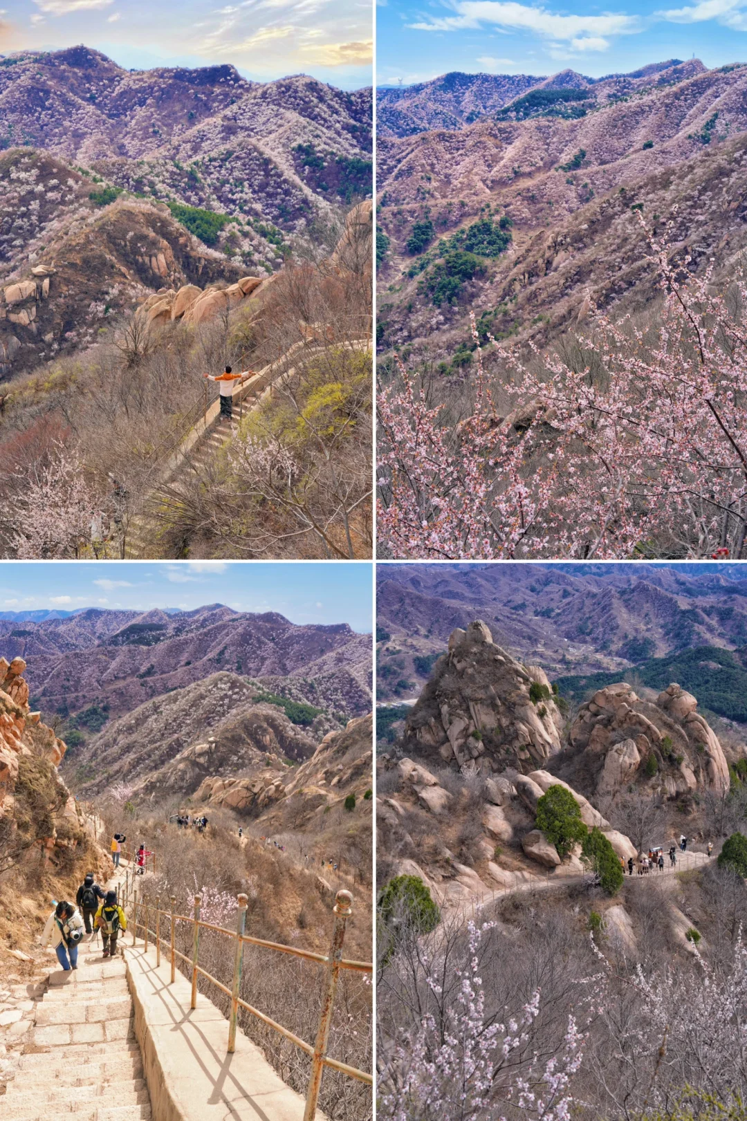 京郊1.5h🚗被严重低估的春游秘境🍃附攻略