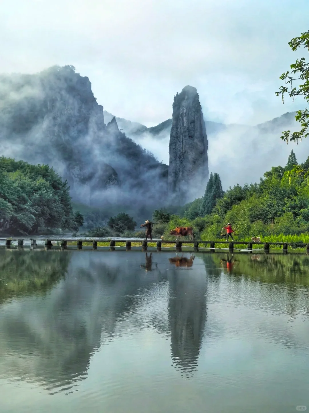 来丽水，这九个景点绝不容错过！🌟