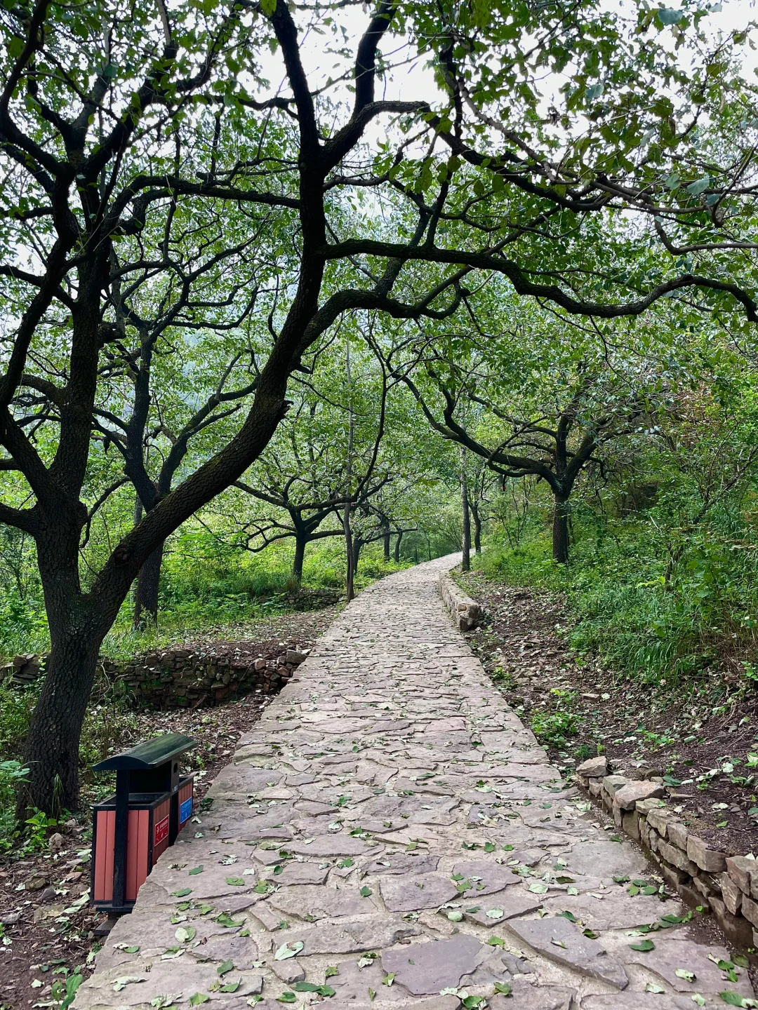 邯郸太行五指山最新攻略来了！！！