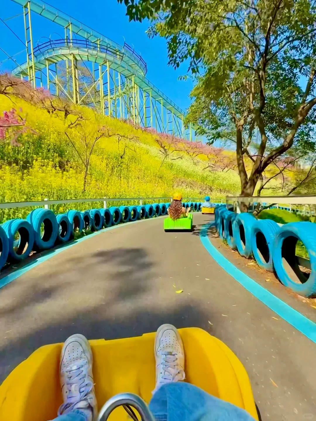 杭州1h❗️我找了春日限定的金色浪漫🌼🌼🌼