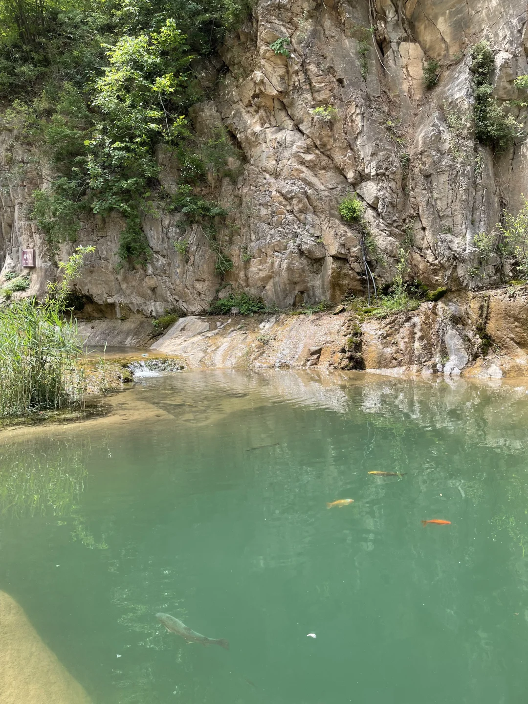 不想爬高山🔥石家庄清风峡适合带娃爬不❗️