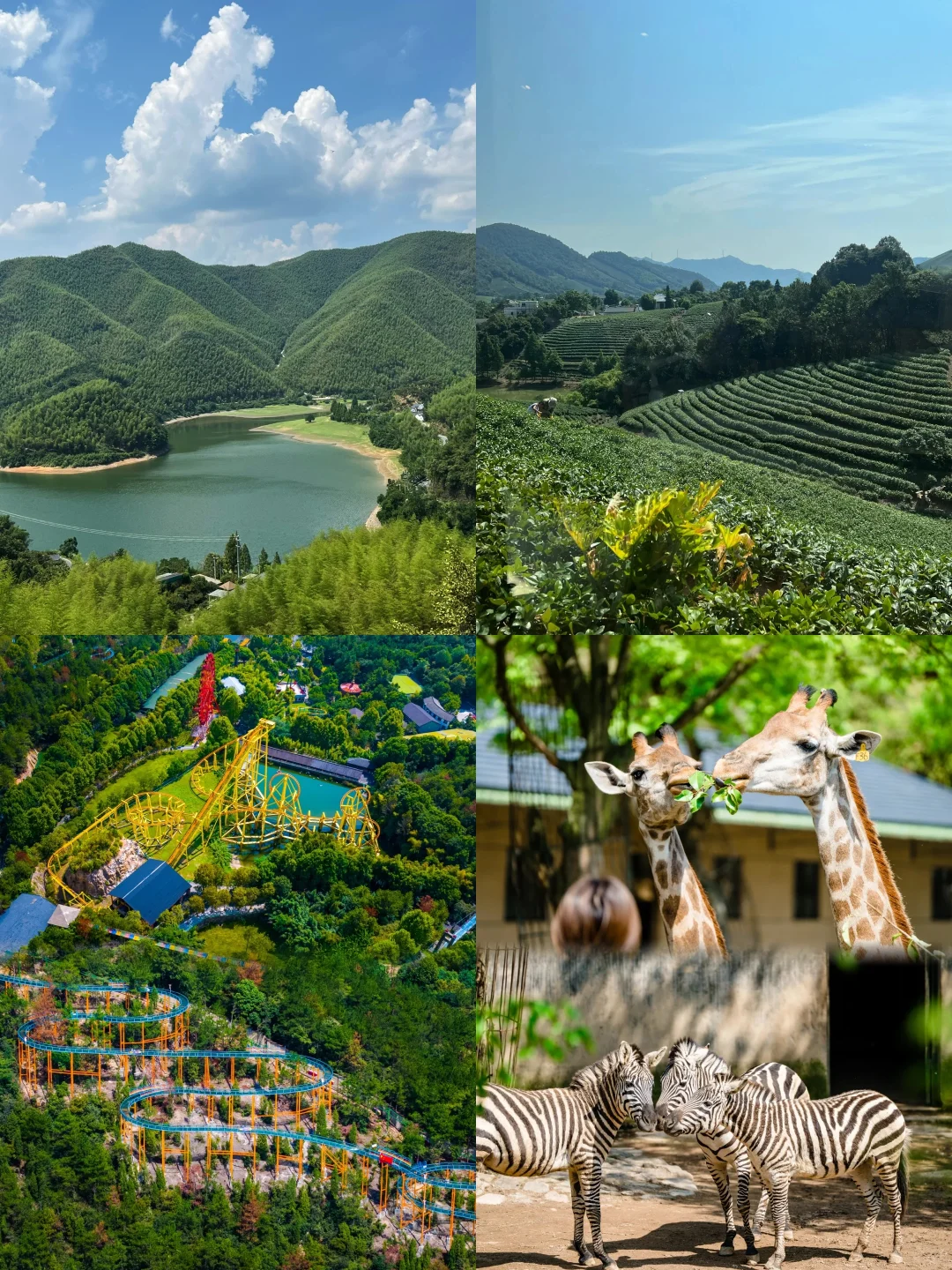 4-5月避开人群|来这几个小众城市就对了