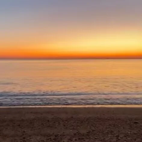 日照 / 精华版旅游攻略 | 日照特产