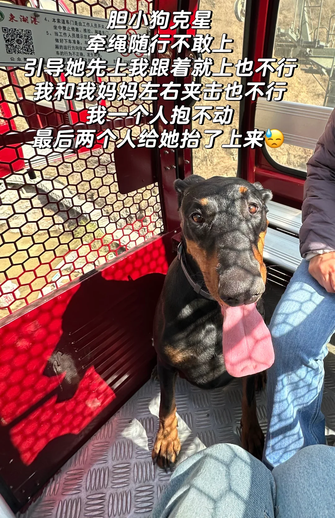 北京宠物友好4A景区上大分!!