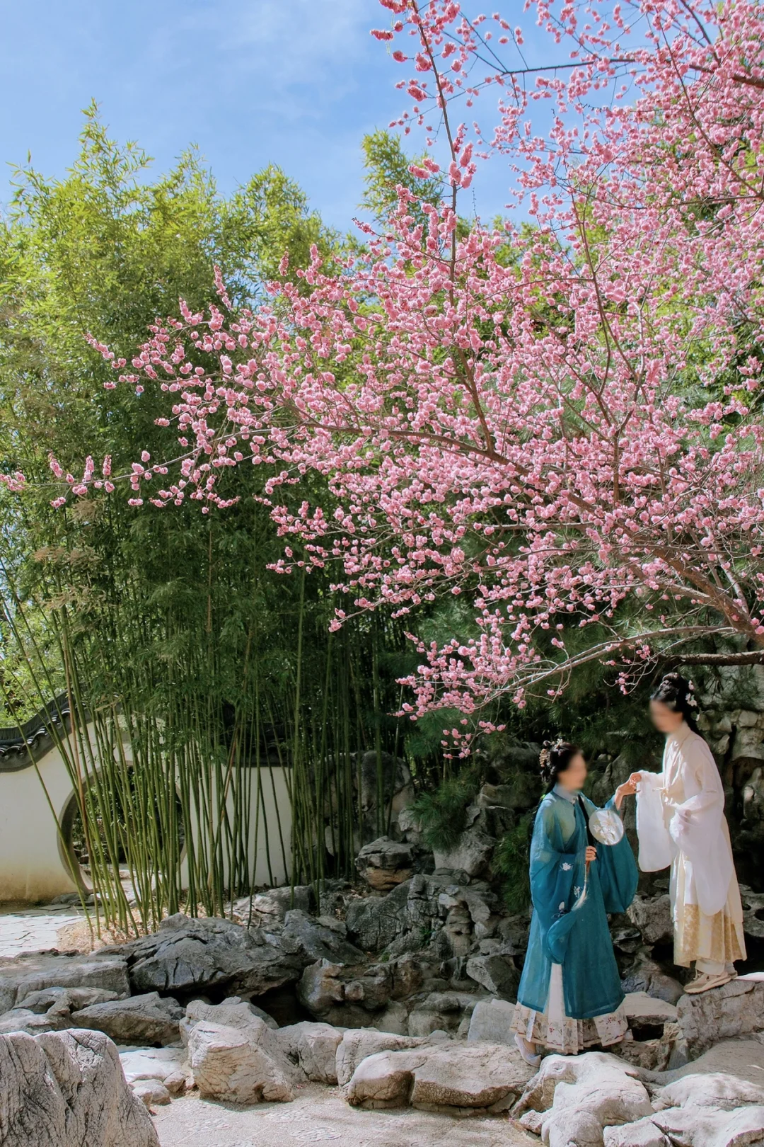 这一刻🌸春和景明具象化了🌷