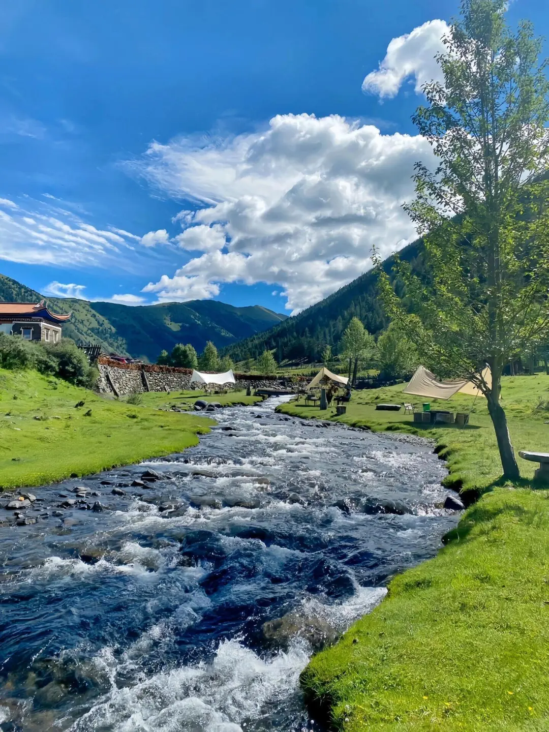 美哭我😭|||已经开始期待川西的春天来了