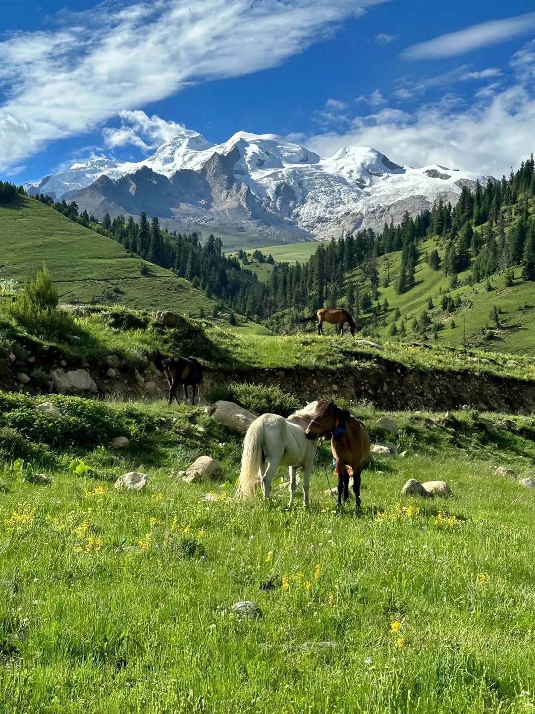 美哭我😭|||已经开始期待川西的春天来了