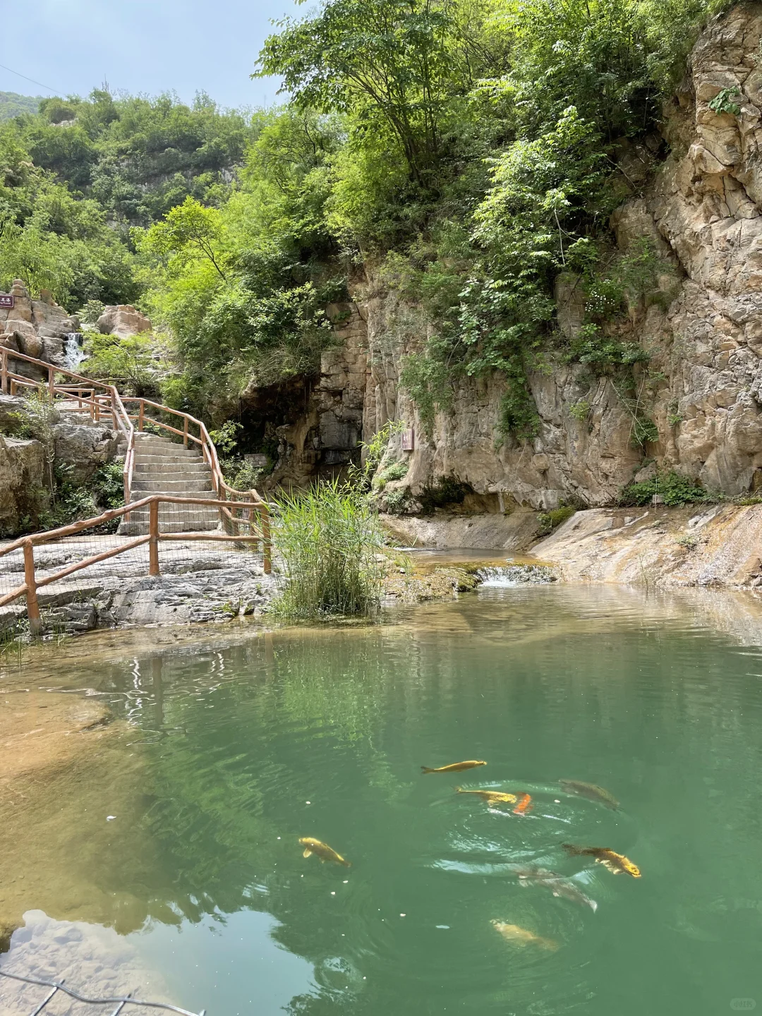 不想爬高山🔥石家庄清风峡适合带娃爬不❗️