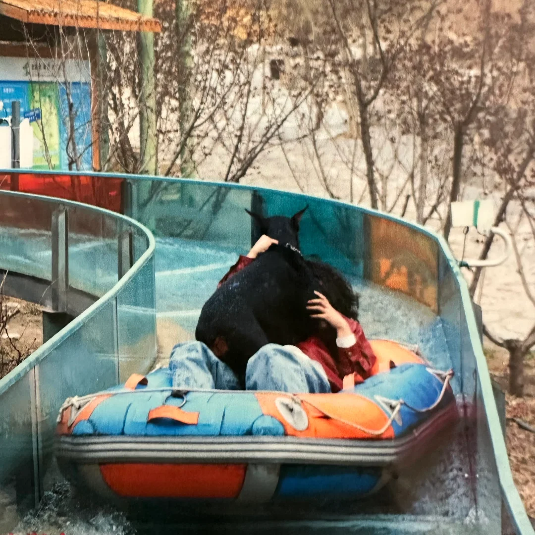 北京宠物友好4A景区上大分!!