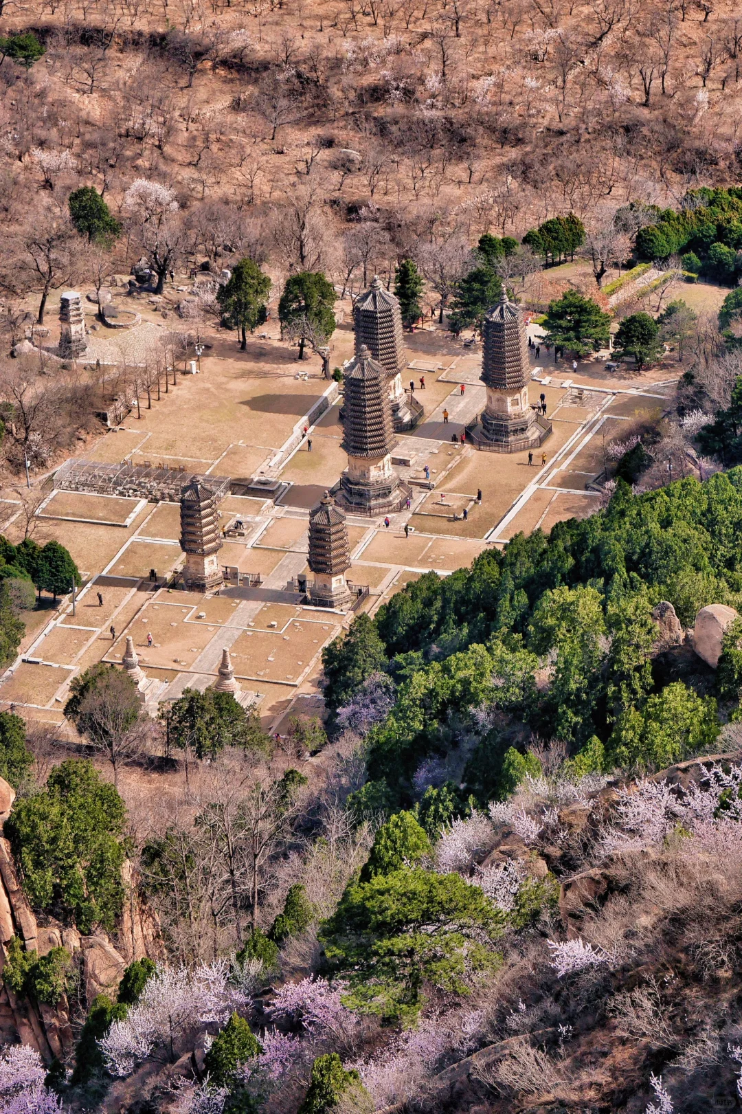 京郊1.5h🚗被严重低估的春游秘境🍃附攻略