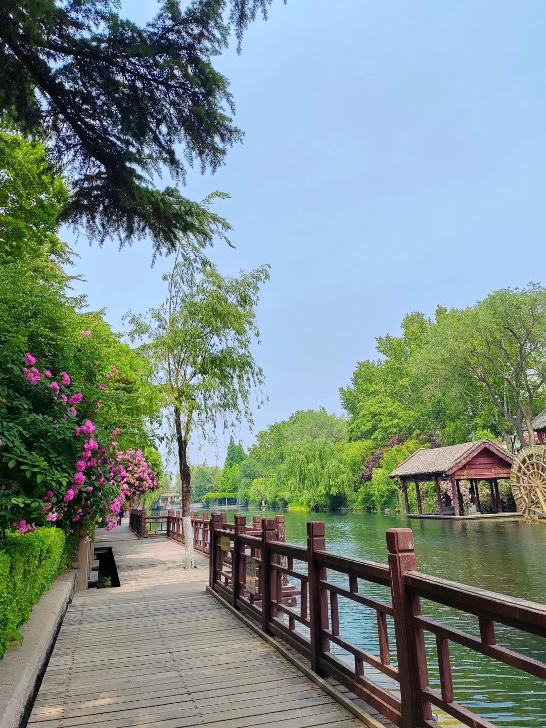 济南护城河水磨坊｜亲水栈道🌲绿意盎然
