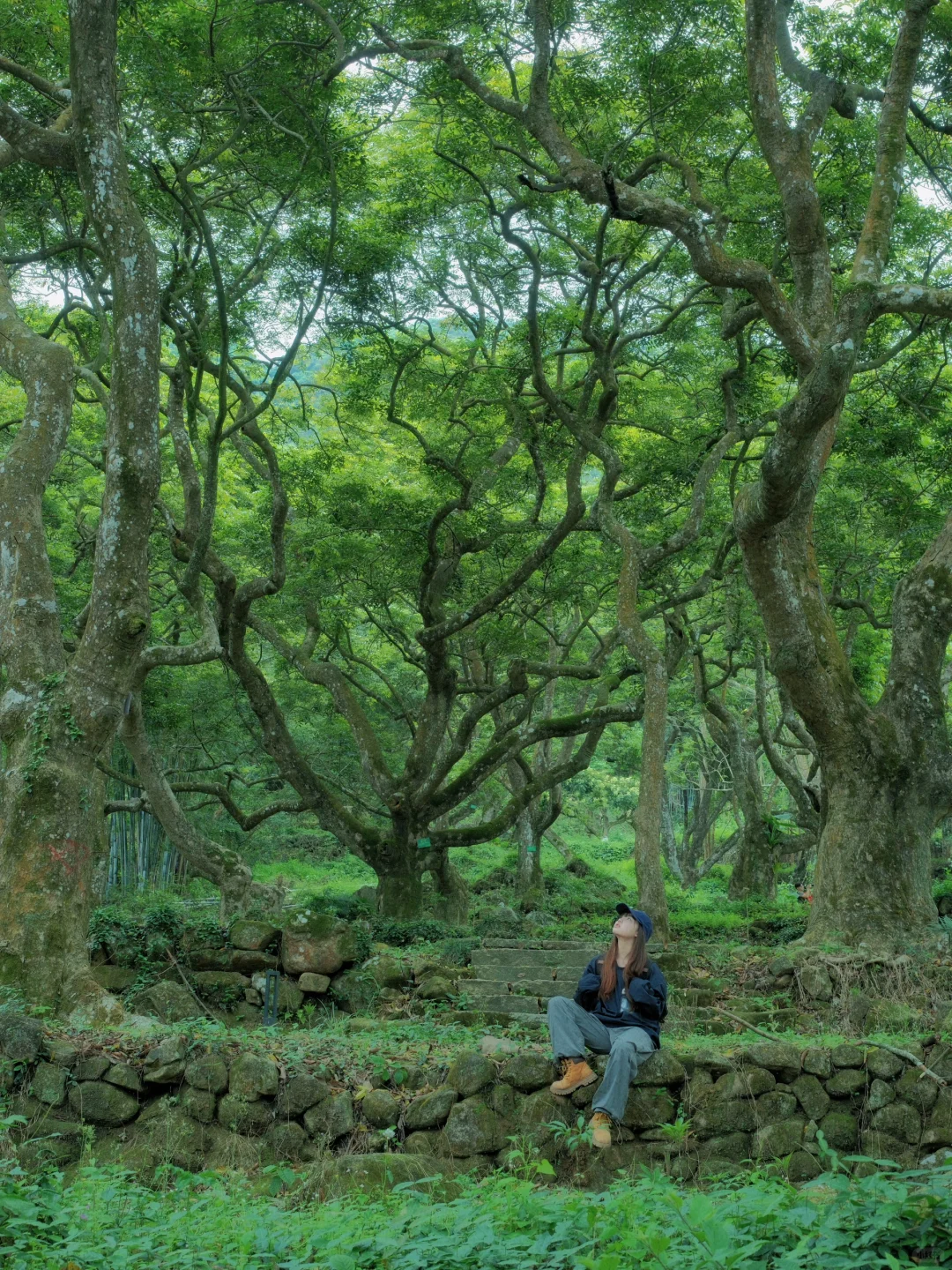 广州8️⃣条踏春徒步路线⛰️人少景美且轻松！！