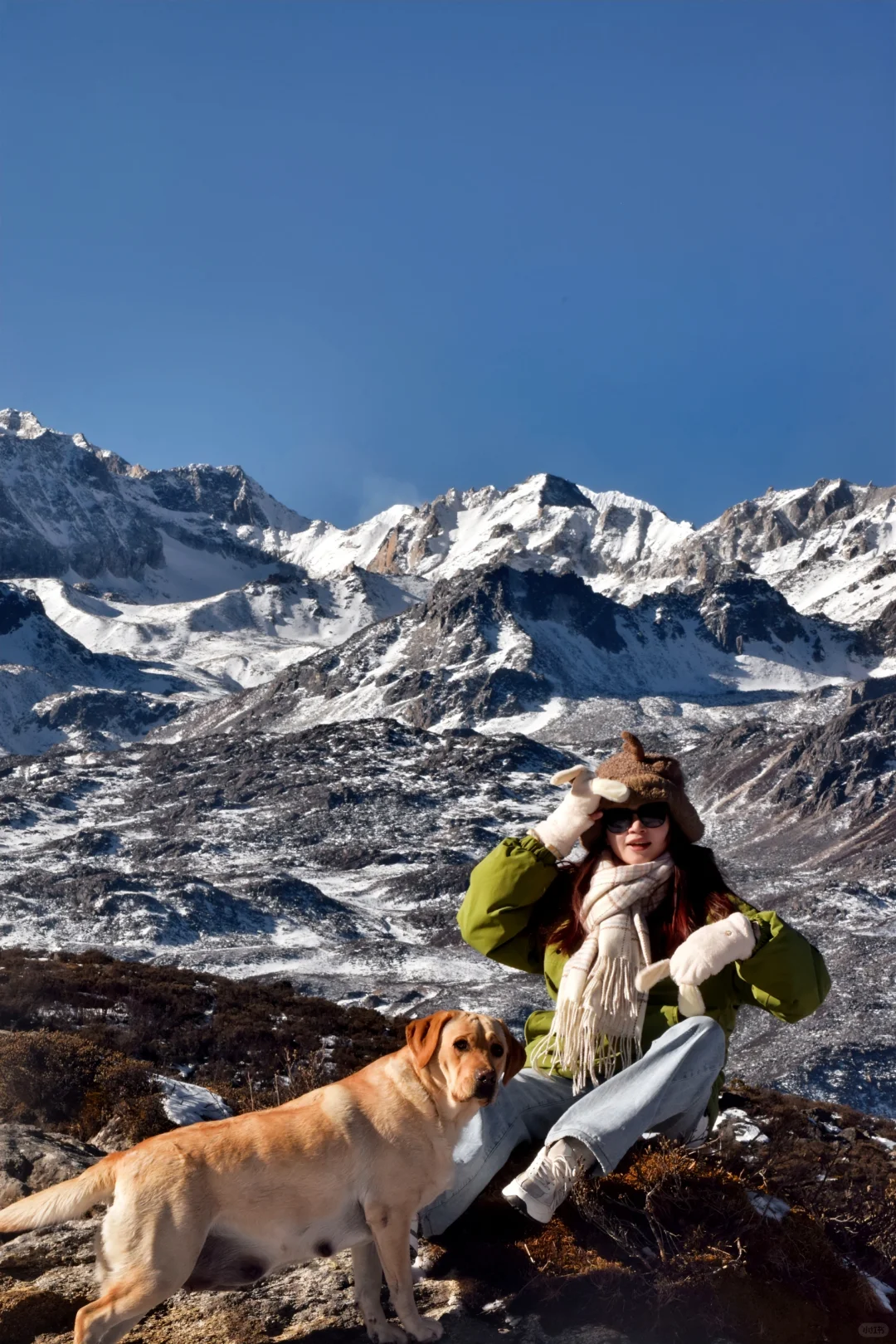 川西可以带狗狗的景区大全