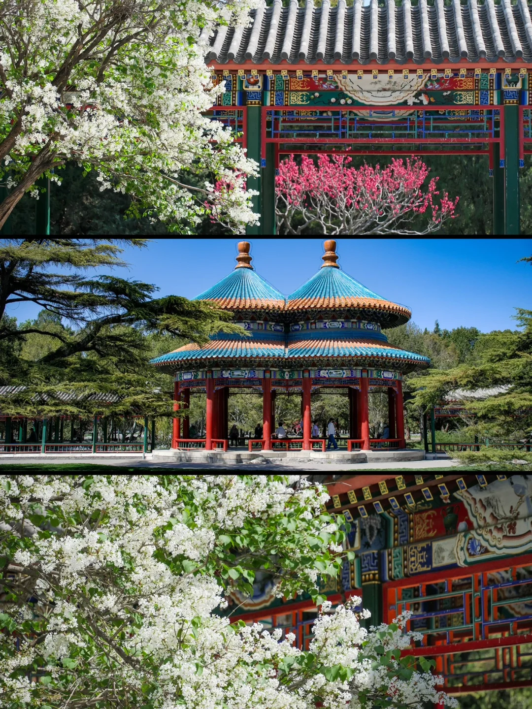 这一刻🌸春和景明具象化了🌷