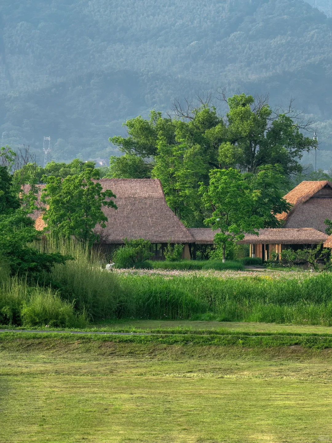 闯入莫奈花园!这大概就是油画里的春天🎨