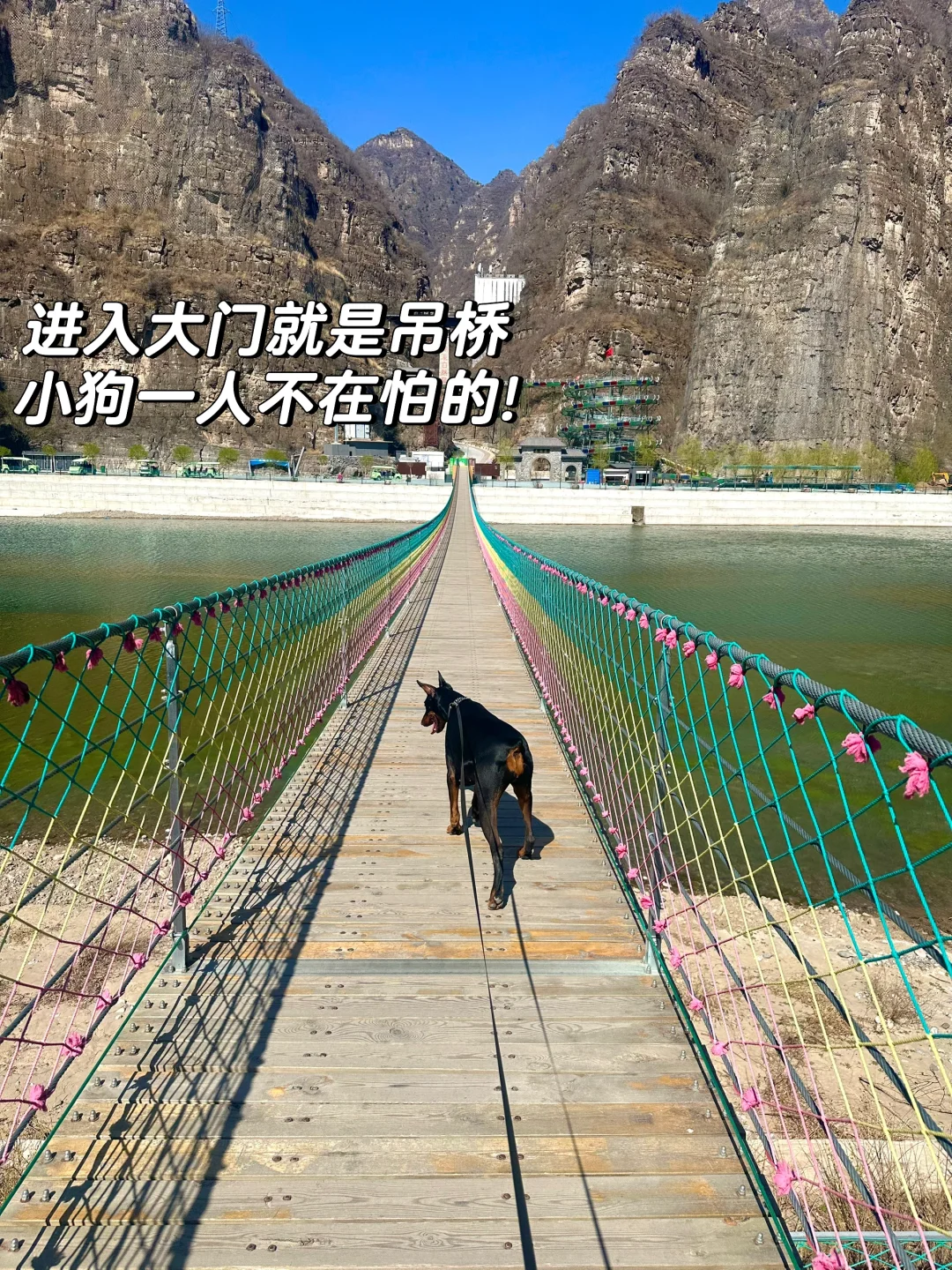 北京宠物友好4A景区上大分!!