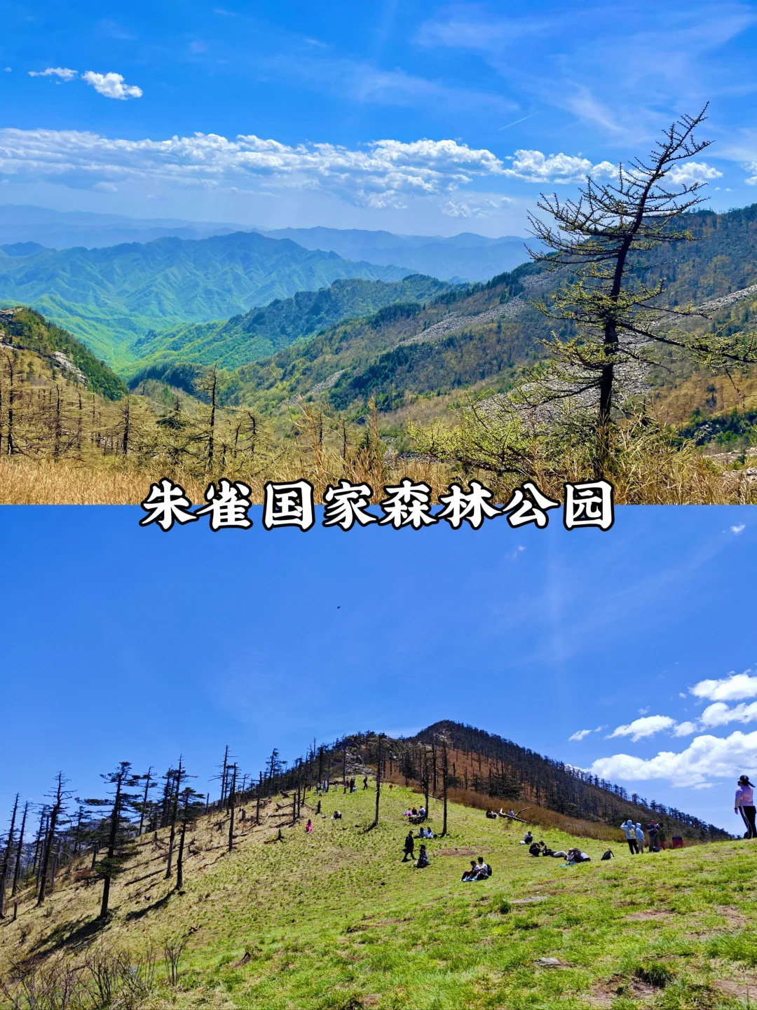 预告！清明周边游🔥西安出发1日游合集