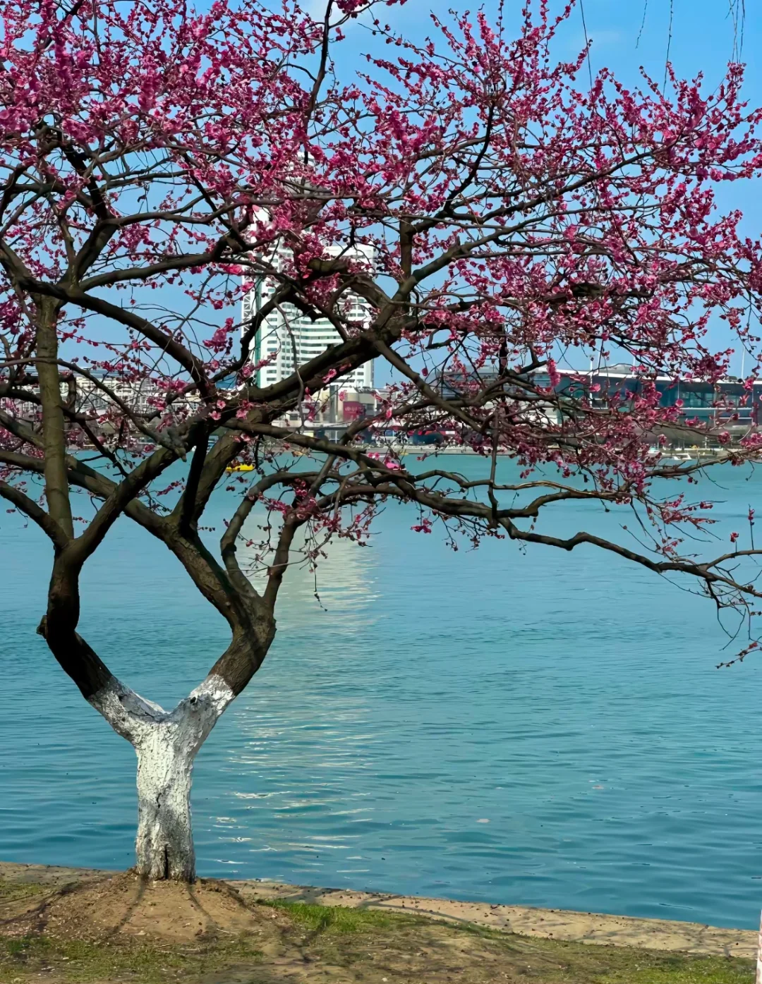 南京玄武湖旅游攻略!