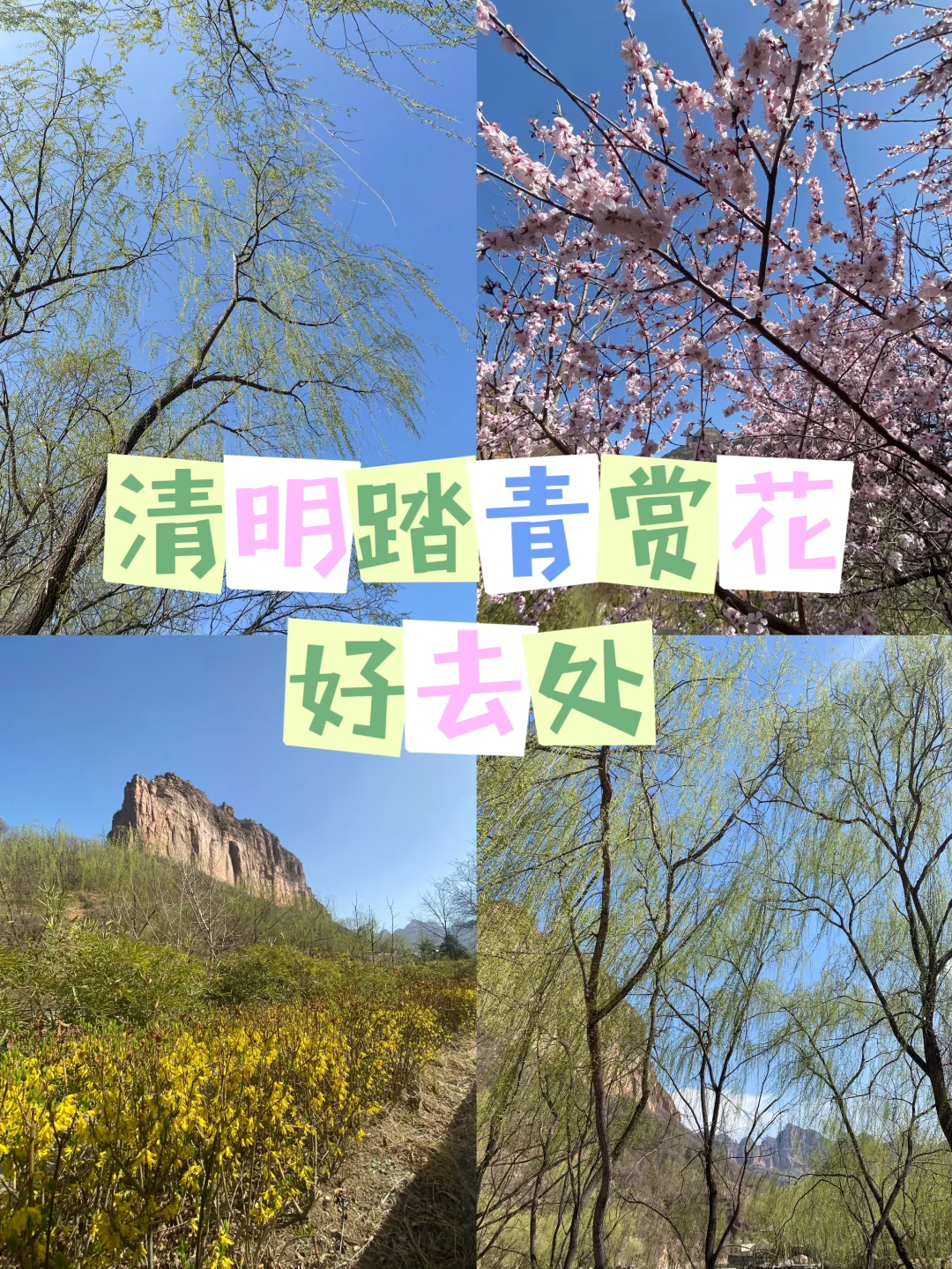 清明旅游｜解锁邯郸宝藏踏青好去处🌸