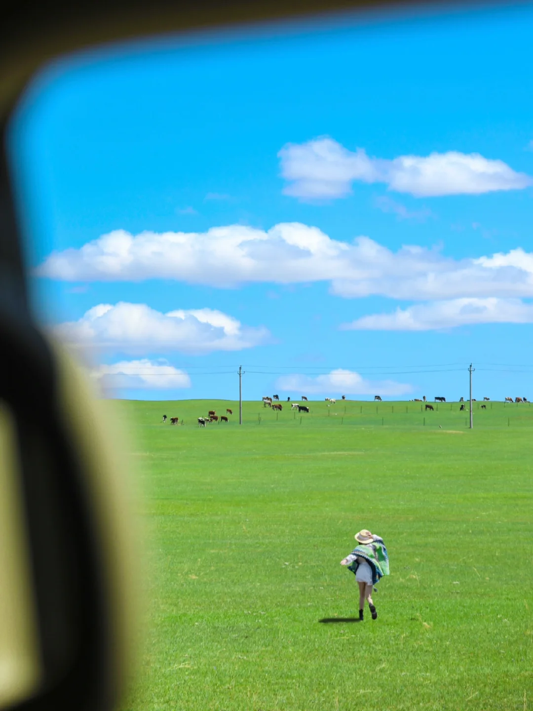 “我这一生,总有一个夏天要留给呼伦贝尔‼️”