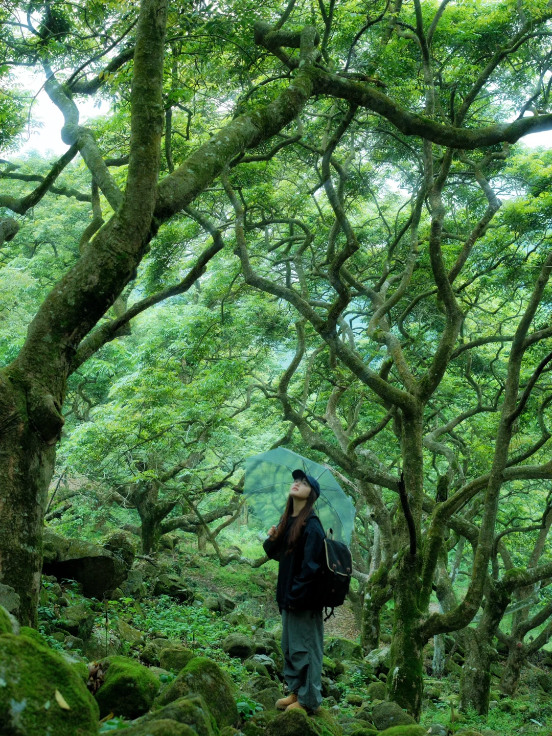 广州8️⃣条踏春徒步路线⛰️人少景美且轻松！！