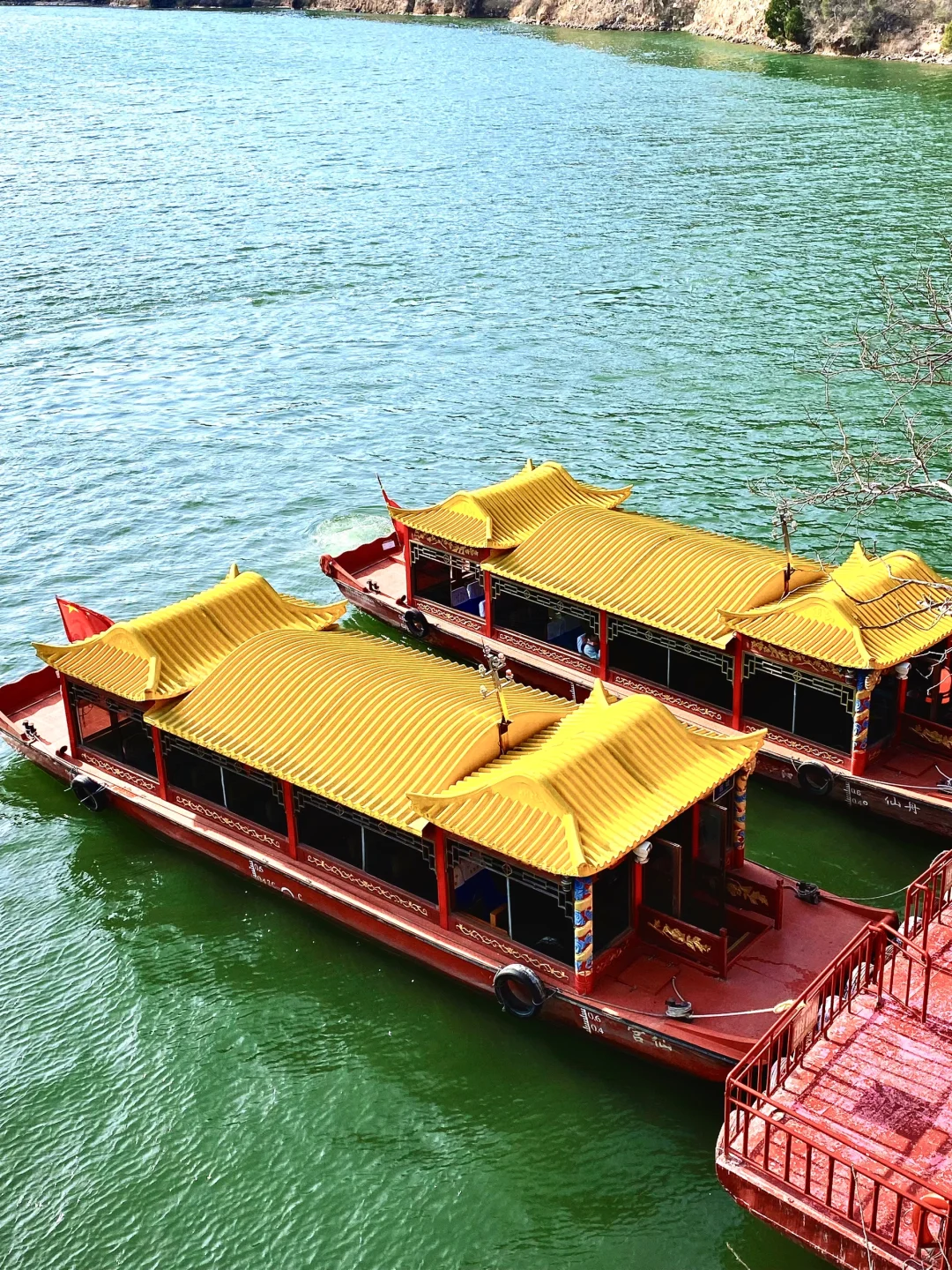 感受春天🌷🌻🌾🌿