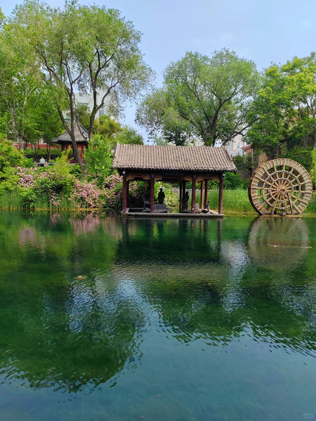 济南护城河水磨坊｜亲水栈道🌲绿意盎然