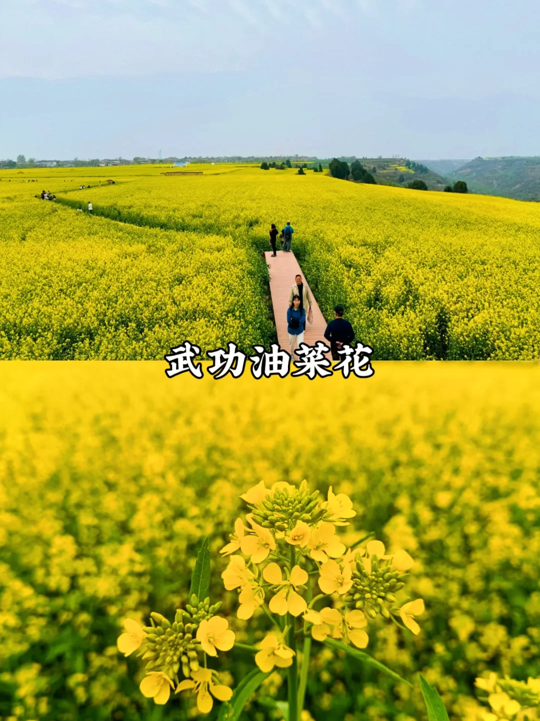 预告！清明周边游🔥西安出发1日游合集