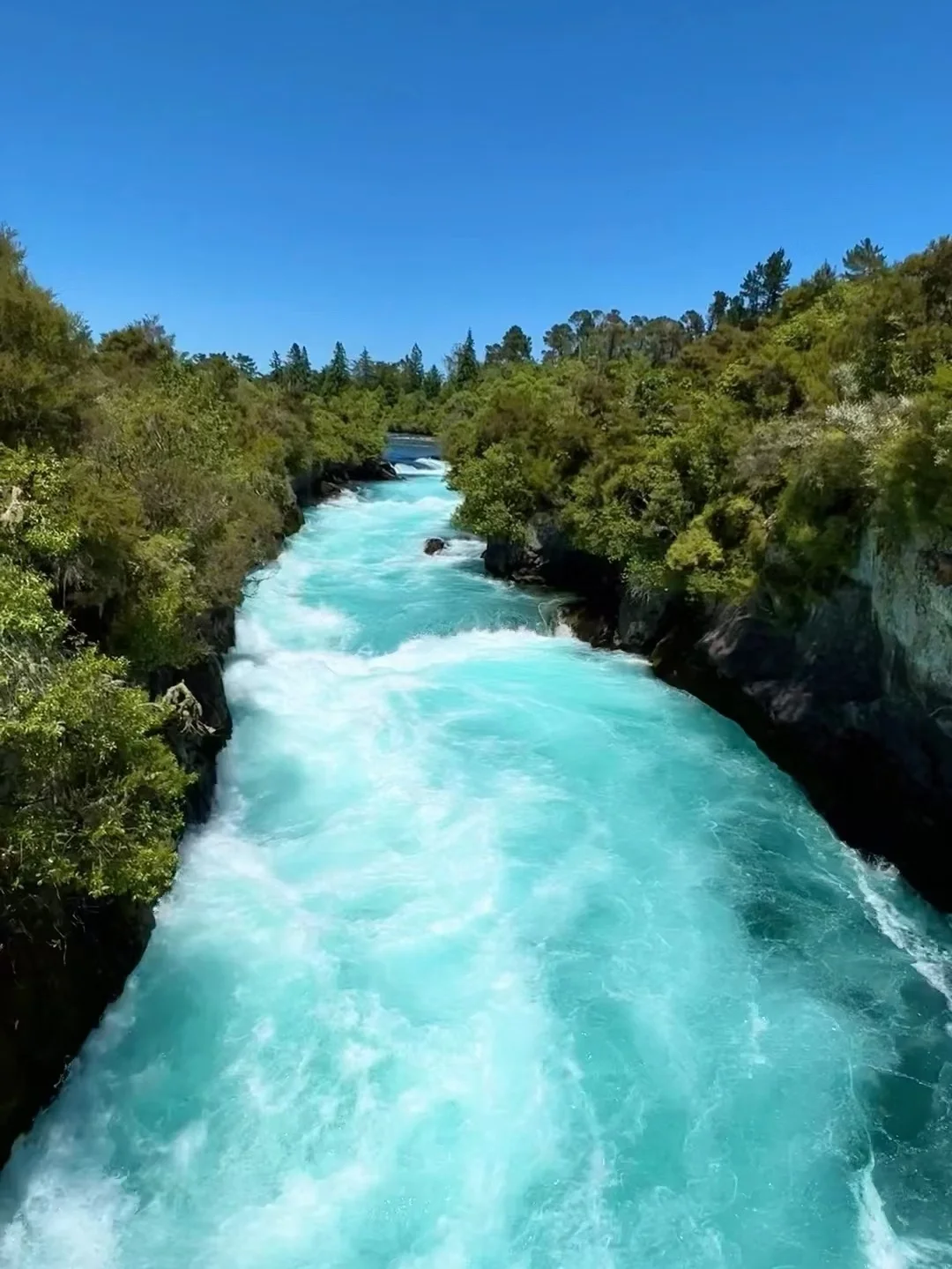 3.19新西兰已回,根本不像xhs说的那样。。