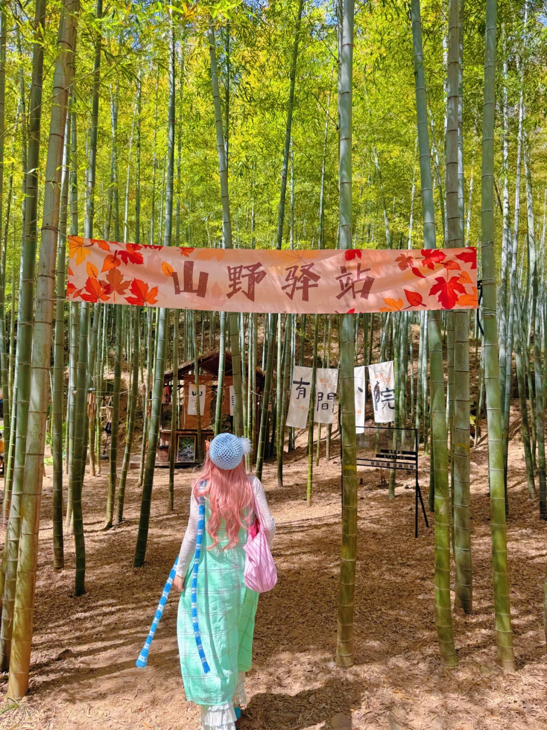 比起婺源😭更爱南京26min直达的宝藏小城！