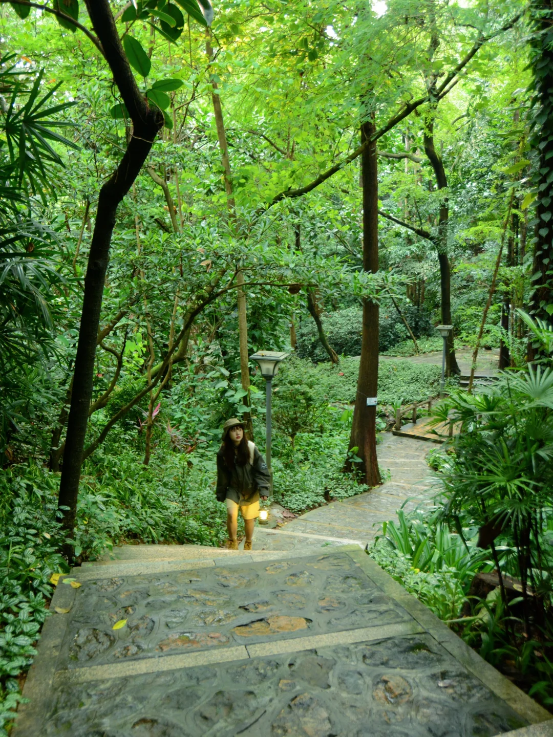 广州8️⃣条踏春徒步路线⛰️人少景美且轻松！！