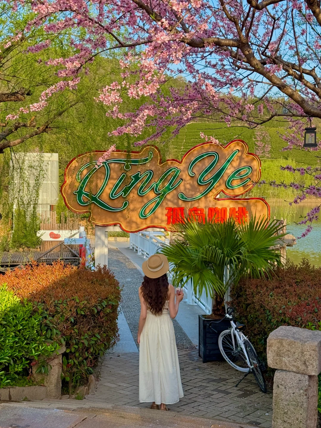 杭州1h❗️我找了春日限定的金色浪漫🌼🌼🌼