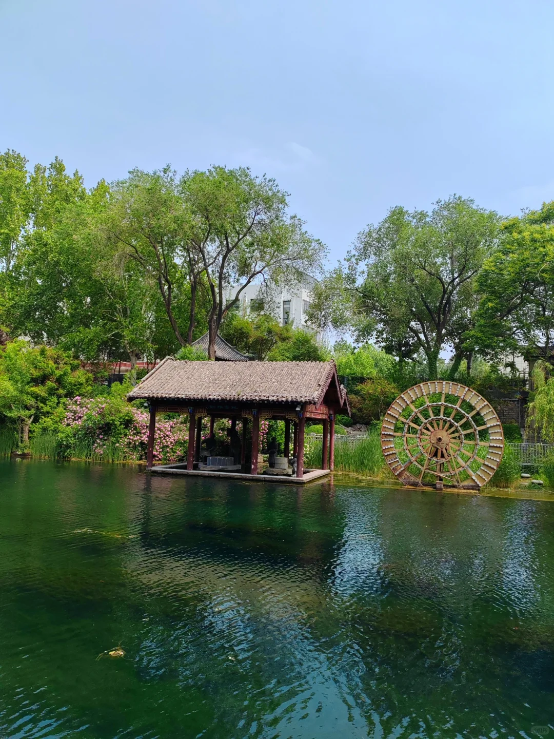 济南护城河水磨坊｜亲水栈道🌲绿意盎然