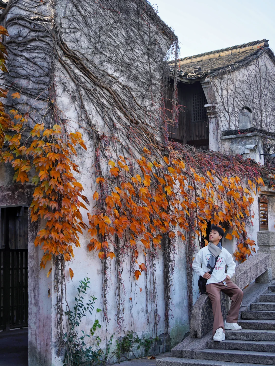 自从来了乌镇，我才明白古人笔下的真江南🍃