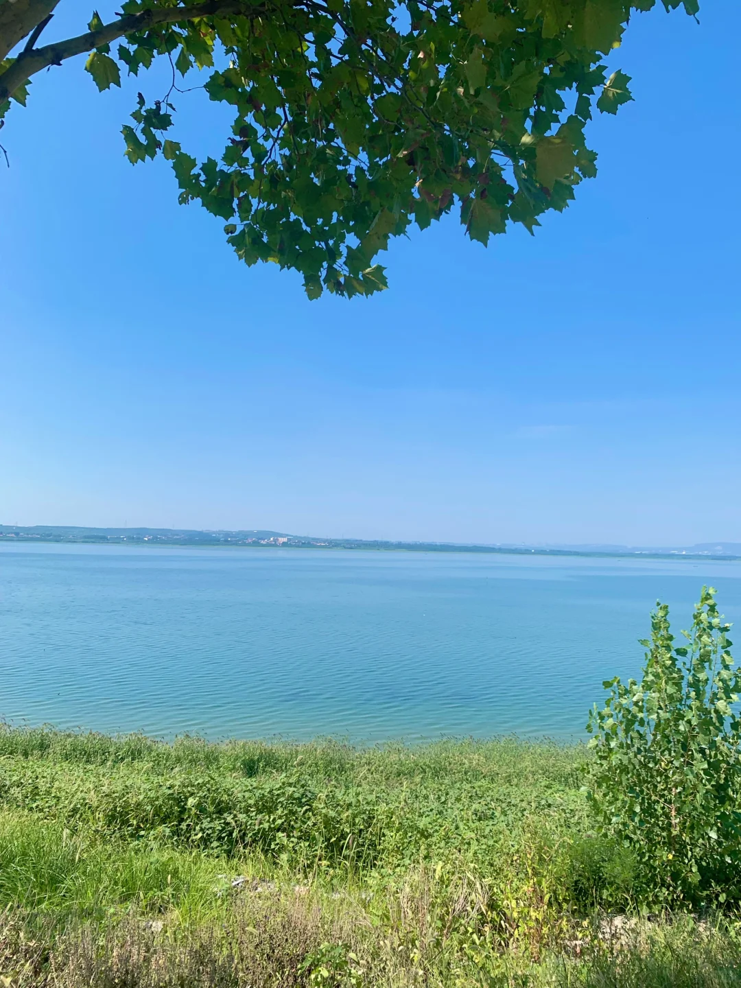 咱邯郸也有海🌊