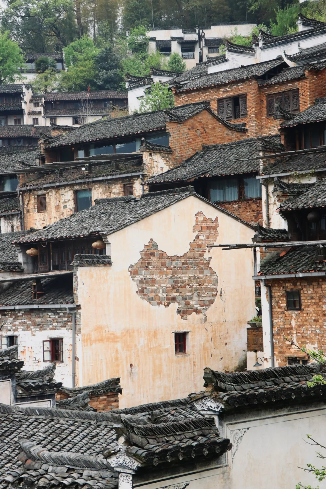 婺源3天2晚10景区超详细旅游路线📝攻略‼️