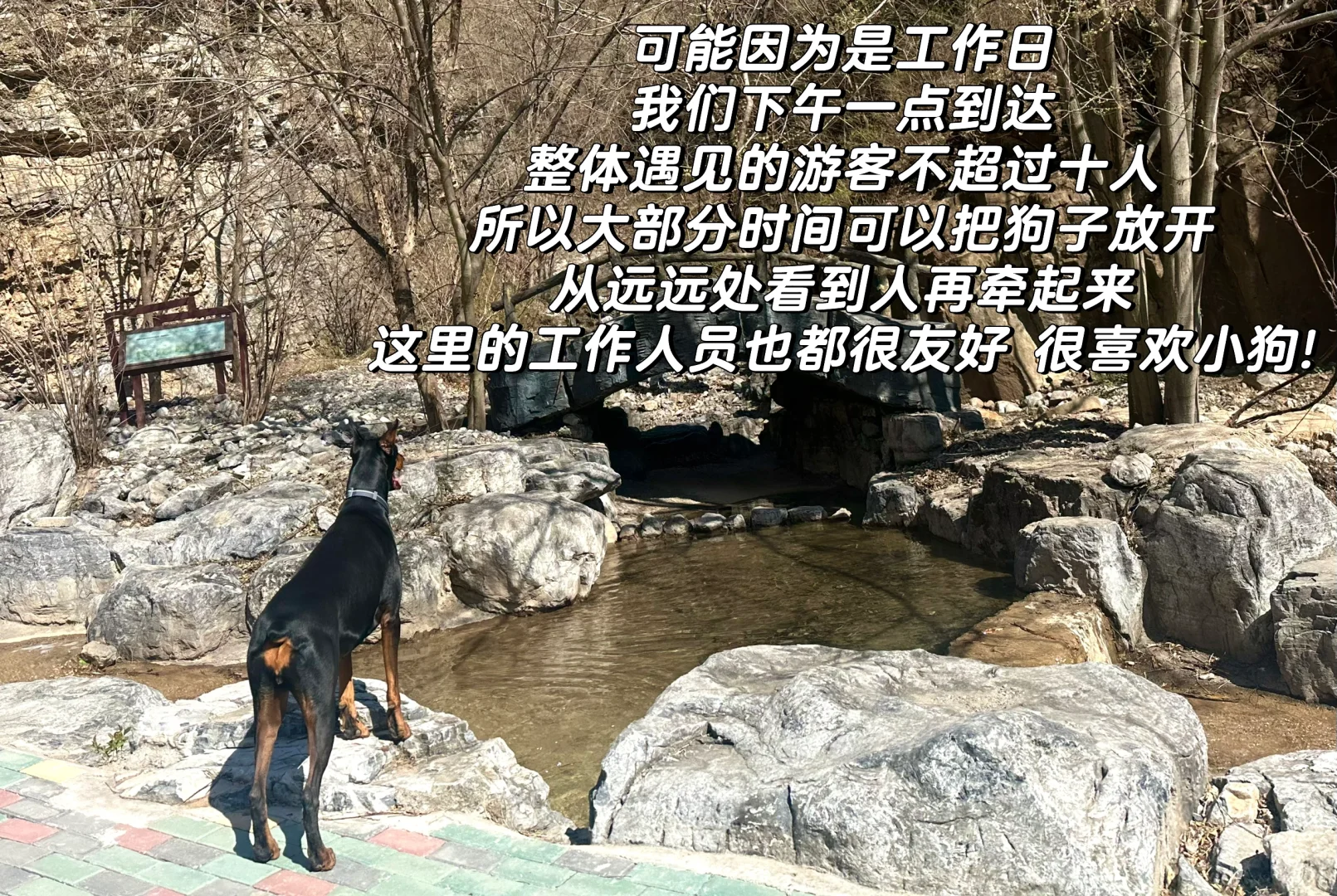 北京宠物友好4A景区上大分!!