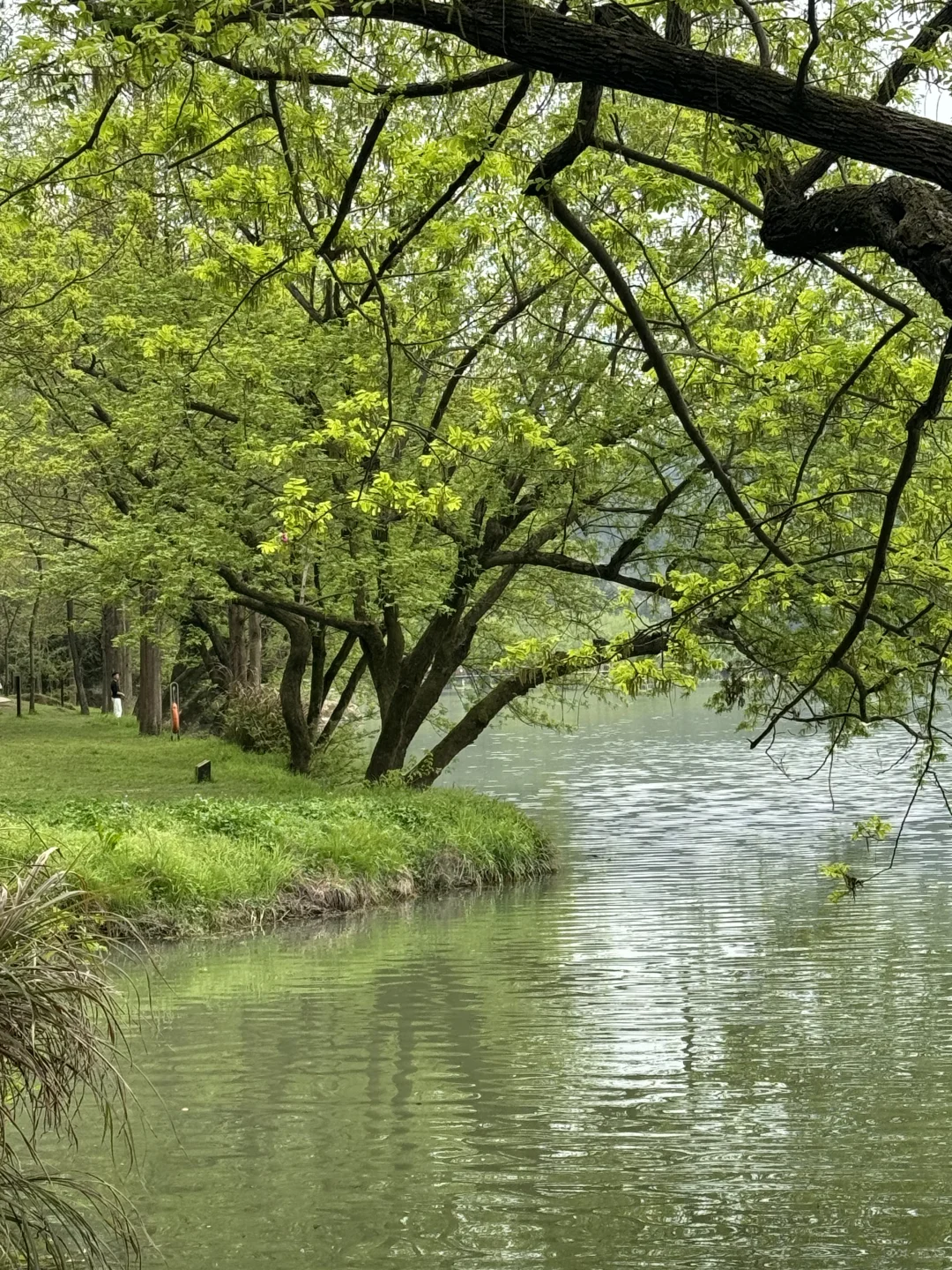 缙云仙都景区门票清明不免费