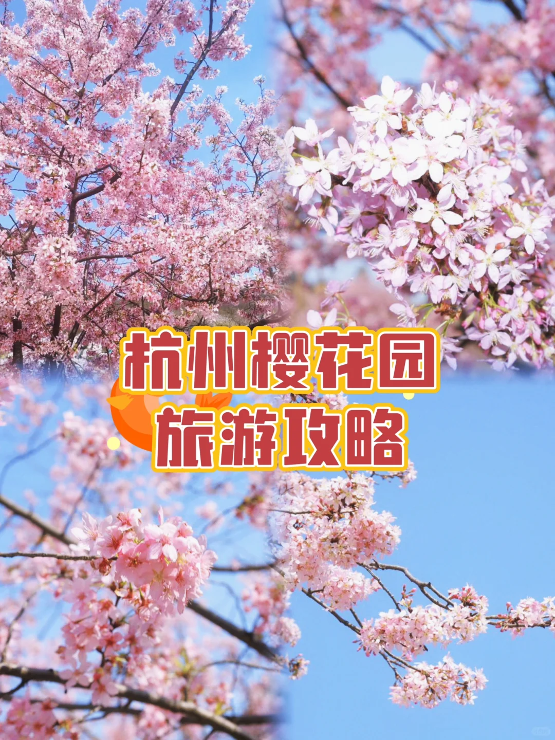 杭州樱花园旅游攻略