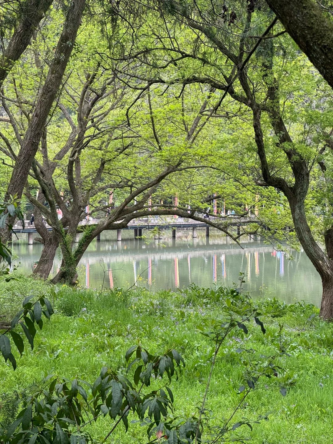 缙云仙都景区门票清明不免费
