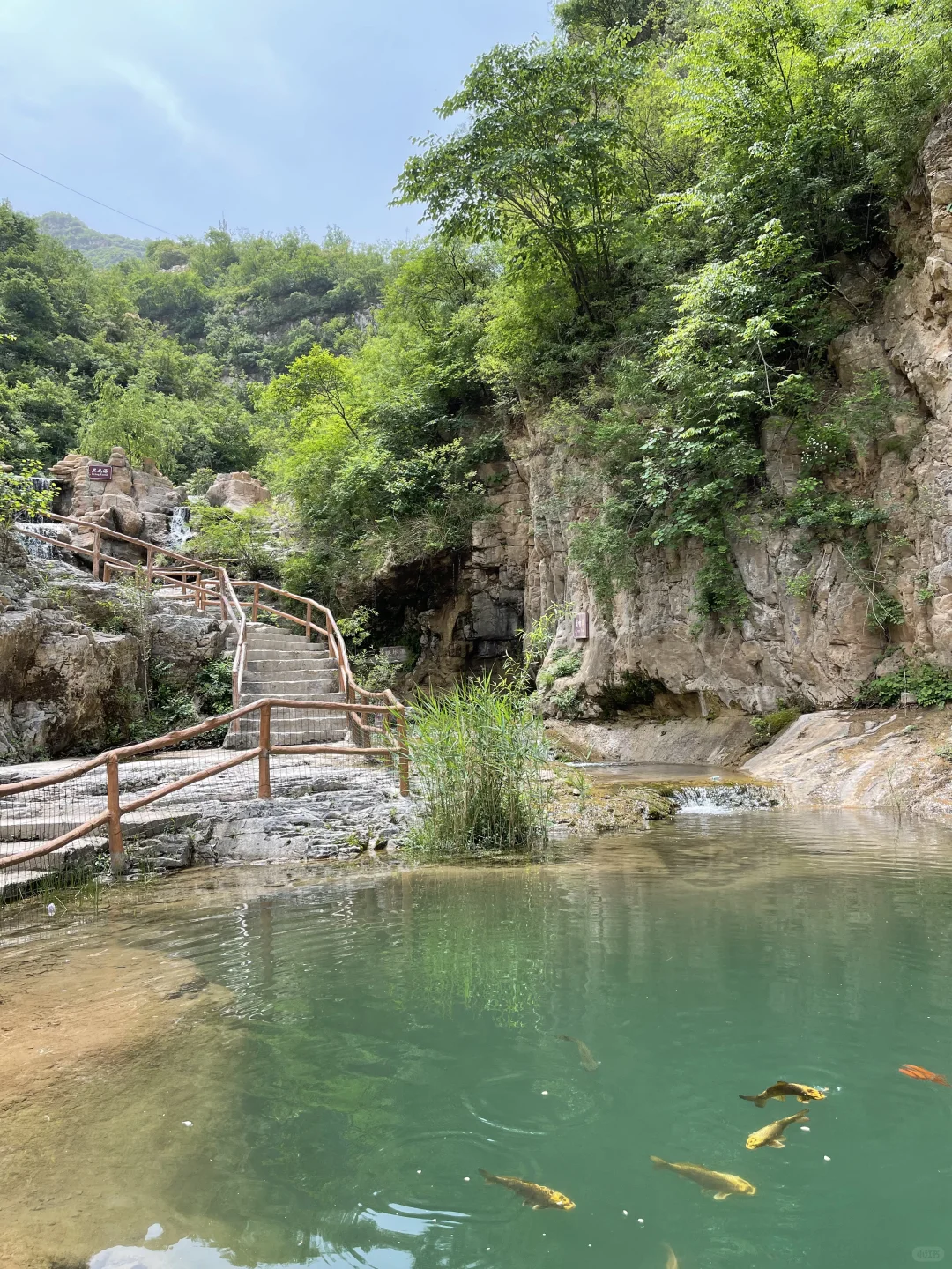 不想爬高山🔥石家庄清风峡适合带娃爬不❗️