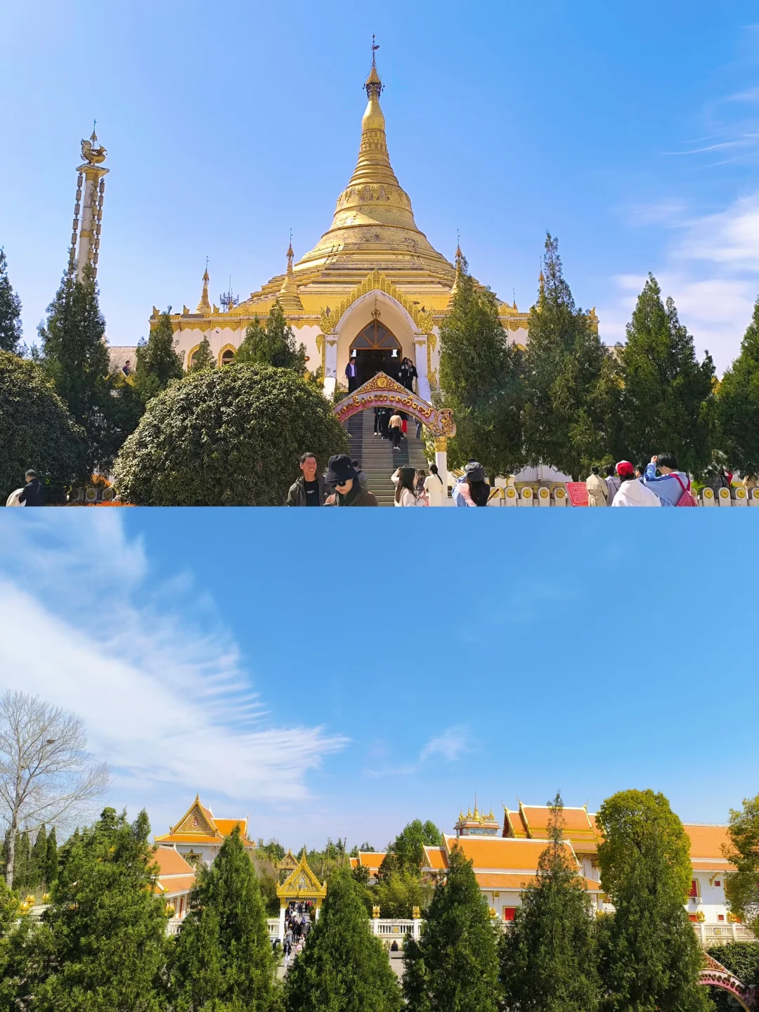 去了，不后悔！ 三天两夜洛阳旅游！