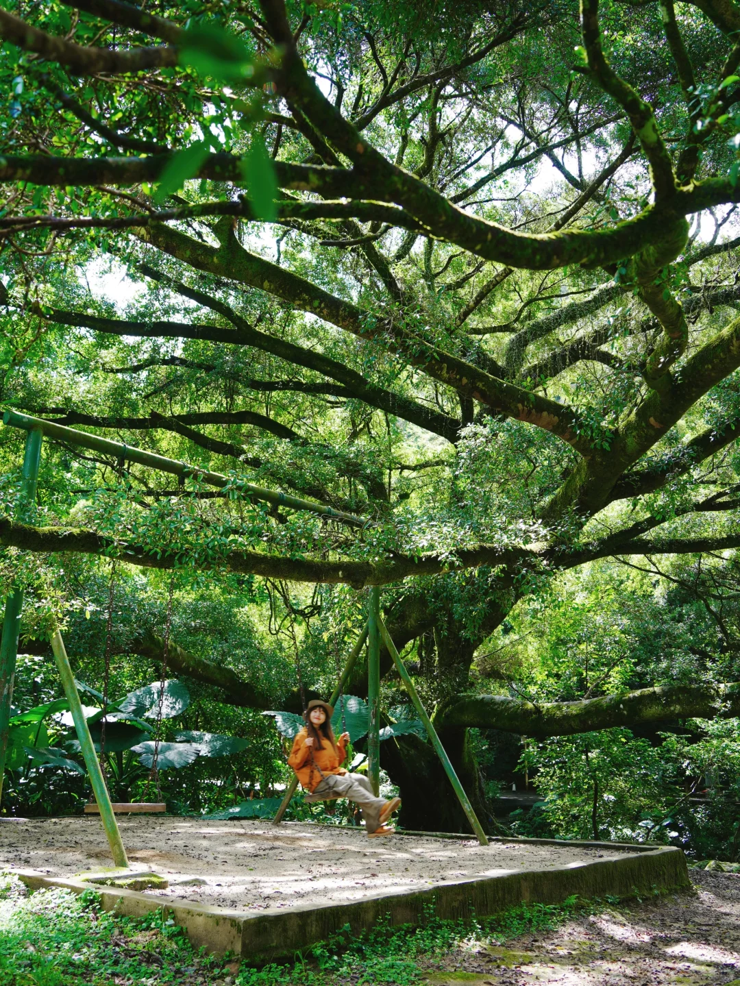 广州8️⃣条踏春徒步路线⛰️人少景美且轻松！！