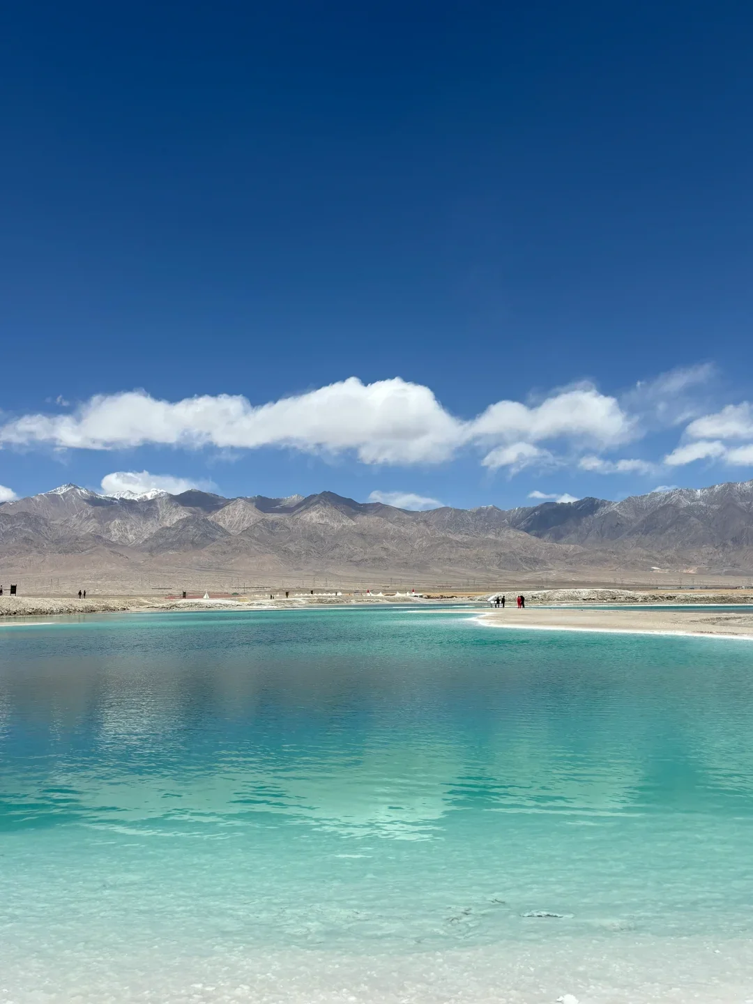 在小红书跟风最成功的一次……