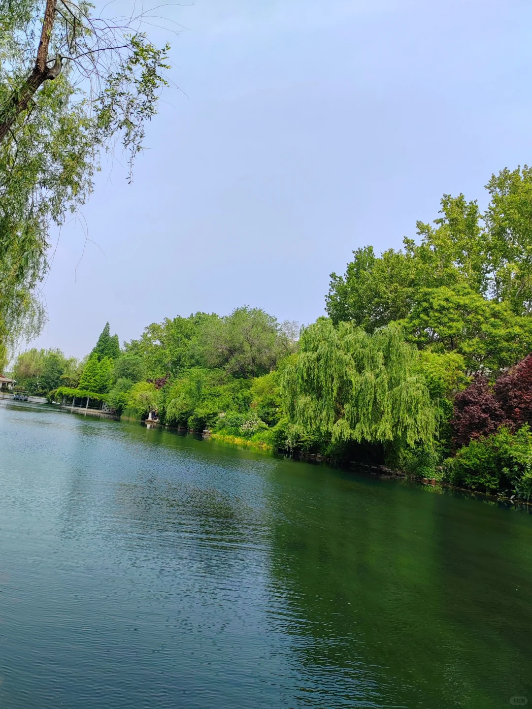 济南护城河水磨坊｜亲水栈道🌲绿意盎然