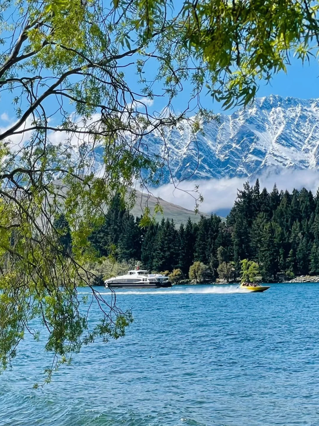 3.19新西兰已回,根本不像xhs说的那样。。