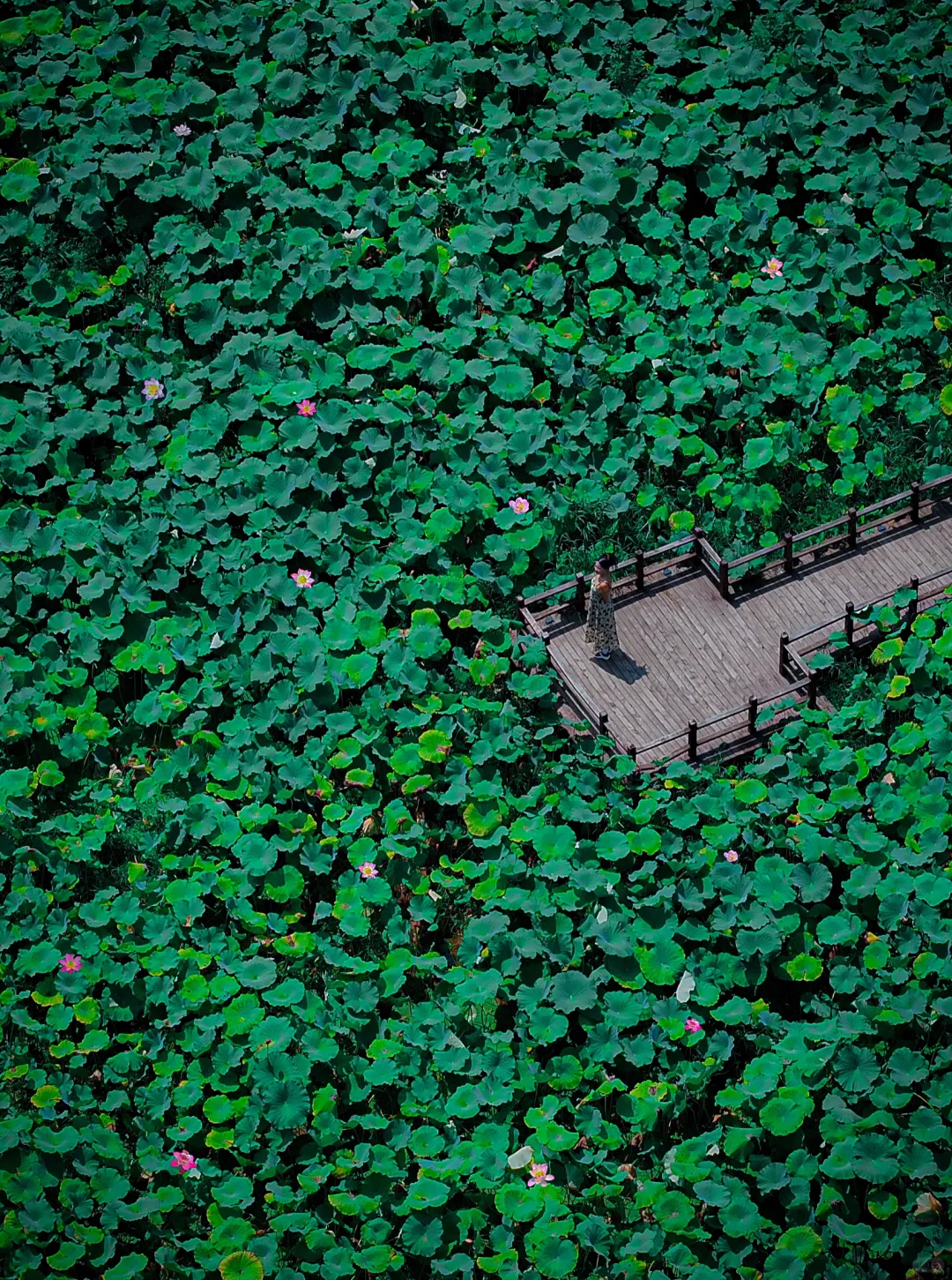 我很少用“震撼”形容一个古镇！！