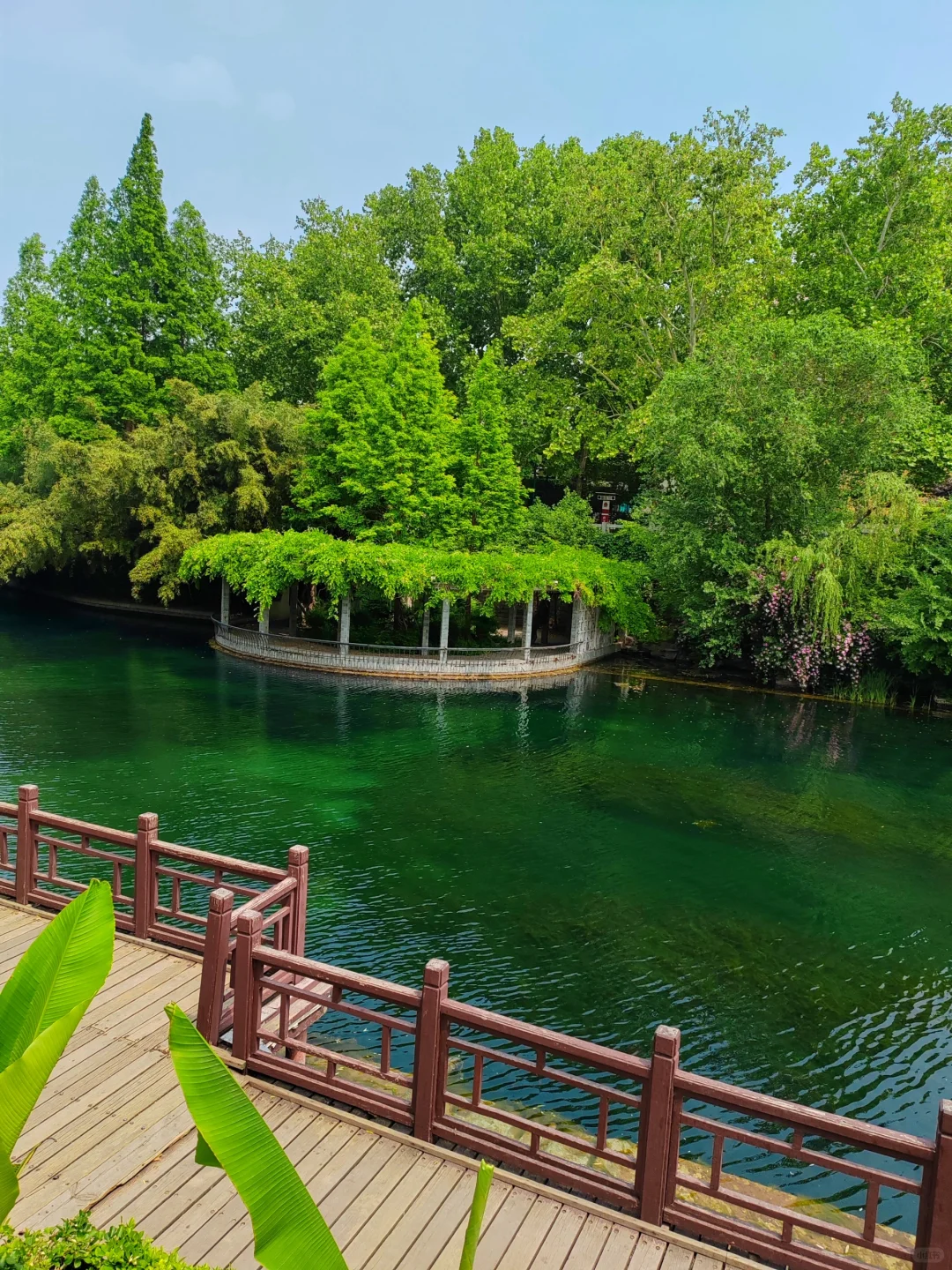济南护城河水磨坊｜亲水栈道🌲绿意盎然