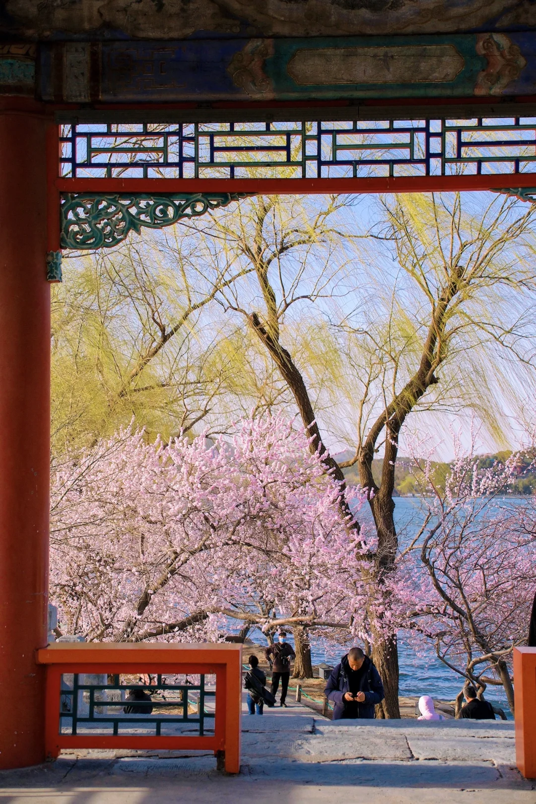 这一刻🌸春和景明具象化了🌷